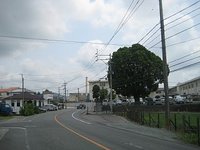 国立病院前