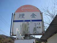 埋金