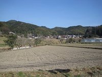 埋金