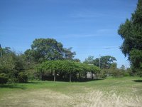 蓮池公園前