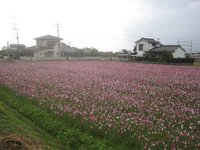 物流センター入口