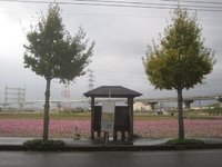 物流センター入口