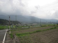 野田