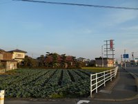 四箇