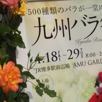 2014年04月26日