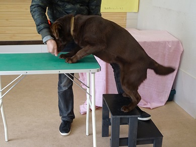 段差って