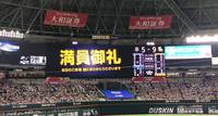 令和野球初観戦！