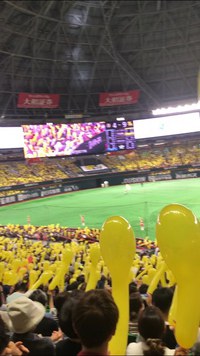 令和野球初観戦！