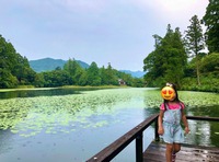 星の降る村