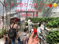 いちご狩りへ行こう！