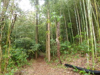 静寂庵
