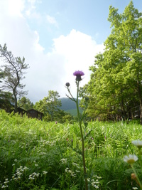 晩借ろうキャンプへ行こう