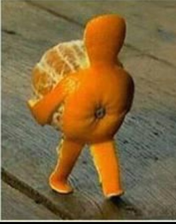 あるいてるー！