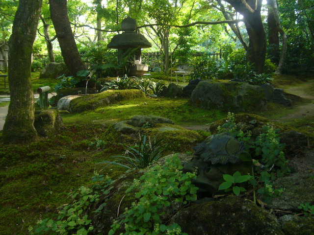 こけ（苔）行って来ました。。。