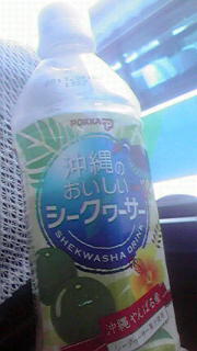 メンソーレタム♪