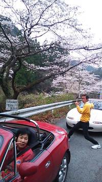 桜満開プチ温泉ツー
