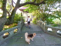 アウトドアでＧＯ！