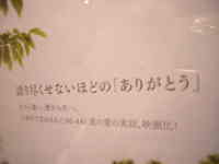 ６０歳のラブレター