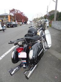 櫨並木にい紅葉！