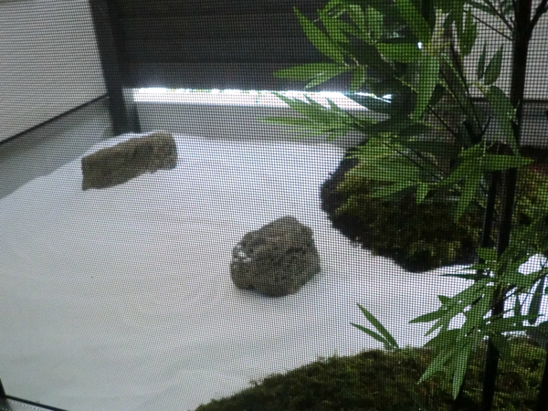 ～セイケンハウスの日常～　～一緒にどうですか？～