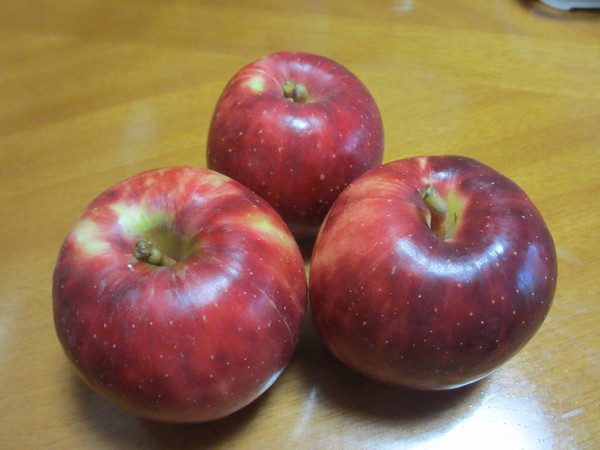 安宅のリンゴ　収穫
