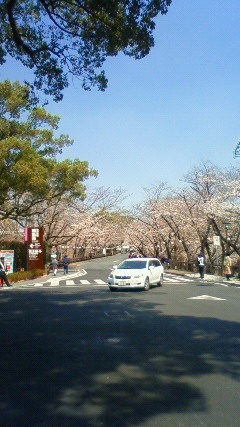 桜の馬場　城彩苑
