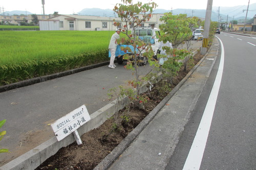 福祉の小道