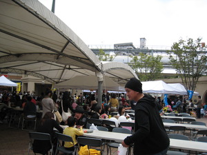 でてこんの祭が大盛況！