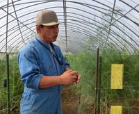 野菜の力　−末次自然農園−