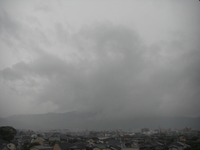 本格的に降り出した