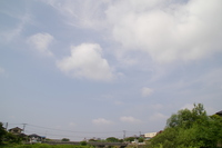 晴れました