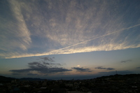 飛行機雲と夕日