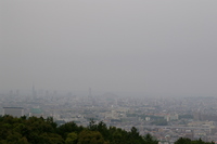梅雨ですね