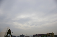 今日も曇り