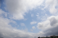 久しぶりの青空