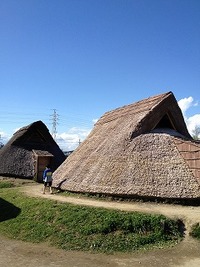 登呂遺跡行って来ました。