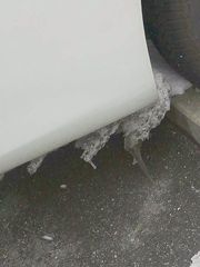 寒かったですね