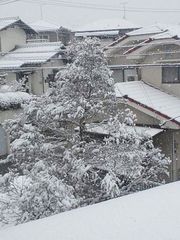 おみごと！