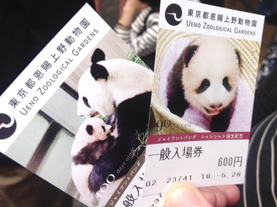 Panda GoGo ! - 上野動物園-