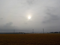 今日の朝日