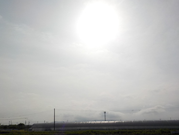 今日の朝日