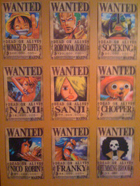 ONE PIECEの手配書