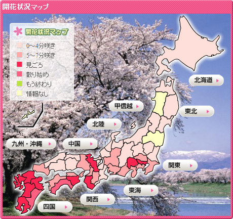 桜 開花予想 2011