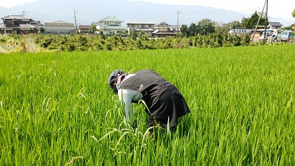 農家の嫁っぽく。