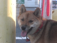 恋忙しくなりそうな？