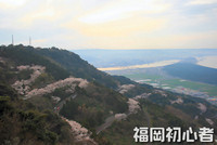 桜見物「鏡山」