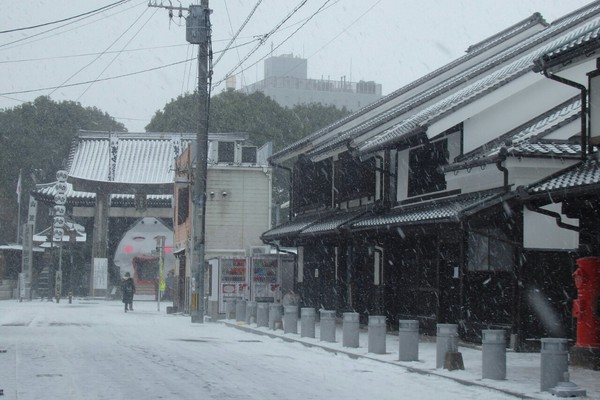 歴史的大寒波と雪景色を撮る(20160124_福博巡り編1)