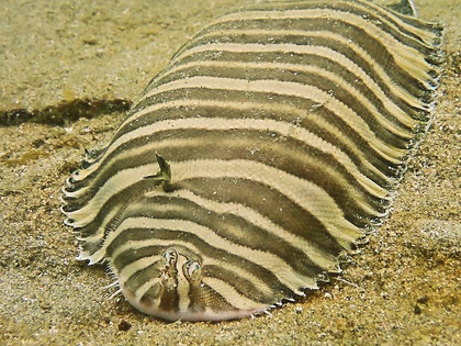 沖縄  恋の浦