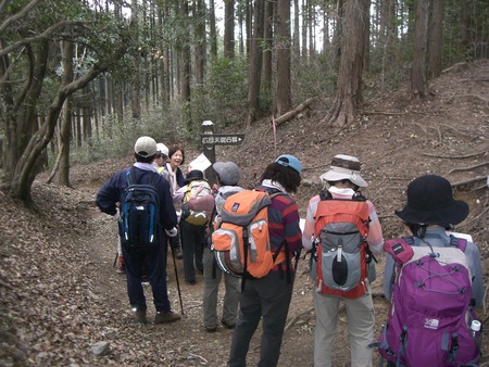 四王寺山（410ｍ）新人体験山行