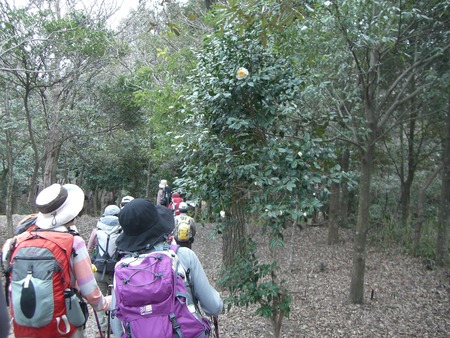 四王寺山（410ｍ）新人体験山行
